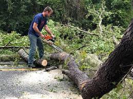 Best Lot and Land Clearing  in Saco, ME